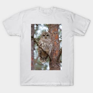 Barred Owl T-Shirt